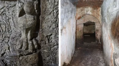 Bir evin avlusunda bulundu, ilk kez kayıt altına alındı