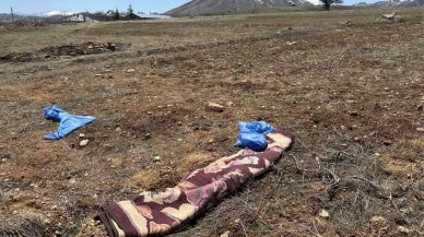 Kayseri'de köpeklerin saldırısı sonrası Mustafa Ö. hayatını kaybetti!