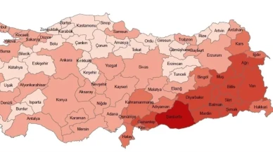 Şırnak İlindeki Çocuk Nüfus Oranı Yüzde 39,8 Çıktı!