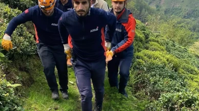 Rize'nin Çayeli İlçesinde Teleferik Kazası Bir Kişi Hayatını Kaybetti
