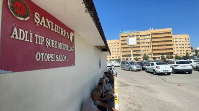 Ceylanpınar'da Çoban Mehmet Aksak Otomobilin Çarpmasıyla Öldü!