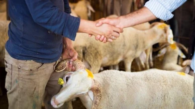 Kurbanlık hayvan nasıl kesilir? Kurban, bayramın kaçıncı gününe kadar kesilir?
