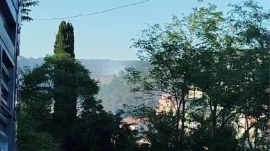İstanbul Sarıyer'de Orman Yangını Kısa Sürede Söndürüldü!