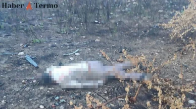 Mersin'de Gizemli Kaza: Sürücü 30 Metre Aşağıda Ölü Bulundu