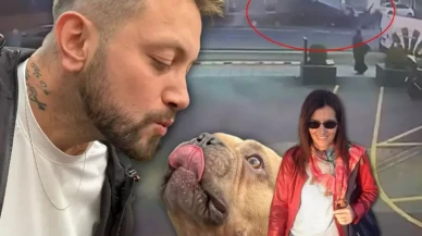 Şişli'de Feci Kaza: 2 Ölü, 6 Yaralı, Kayıp Köpek Dramı