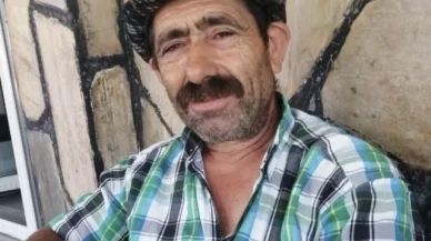 Samsun'da Acı Olay: Komşuya Yardım Ederken Ağaç Dalı İsabet Etti