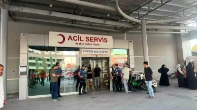 Şanlıurfa Birecik'te Arazi Kavgası: Murat ve Mehmet Gülü Seçme Öldü