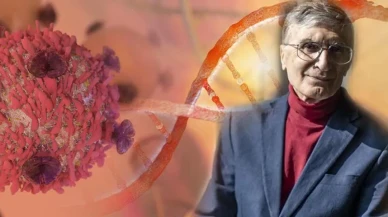 Aziz Sancar Beyin Kanseri Tedavisinde Farelerde Yüzde Yüz Başarı Sağladı