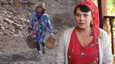 Ekmek Teknesi’nin Mehpare’si Mehtap Bayri Zeytin Üreticisi Oldu: İşte Fiyatı