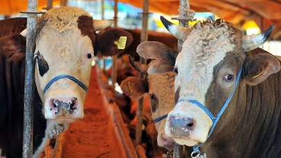 2025 yılında Kurban Bayramı tatili 9 gün olabilir mi?