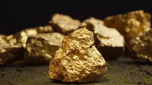 Altın Madeninden 150 Ton Altın Çıkan Çiftçi Şok Oldu!