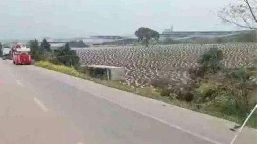 Bursa-Balıkesir Yolu'nda Tır Tarlaya Uçtu, Vinçle Kurtarıldı