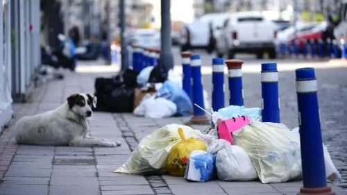 İzmir'de 4 Gündür Süren Grev, Şehri Devasa Bir Çöp Dağına Dönüştürdü!