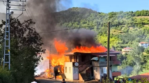 Kastamonu Cide'de Yangın: Eşek Telef Oldu, Ev Küle Döndü!