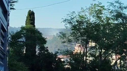 İstanbul Sarıyer'de Orman Yangını Kısa Sürede Söndürüldü!