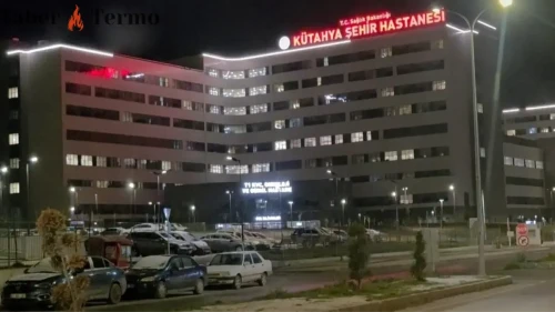 Kütahya'da Kıskançlık Cinayeti: Tartıştığı Arkadaşı Dilruba Işık'ı Bıçaklayarak Öldürdü