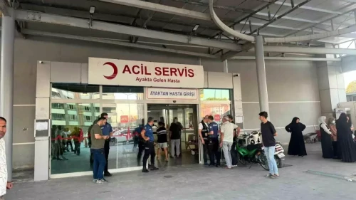Şanlıurfa Birecik'te Arazi Kavgası: Murat ve Mehmet Gülü Seçme Öldü