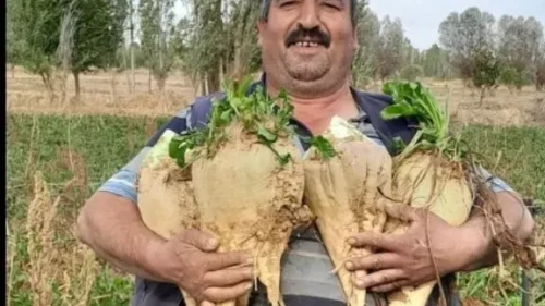 Afyonkarahisar Sinanpaşa'da Cinayet: Boşandığı Eşin Dayısını Vurdu