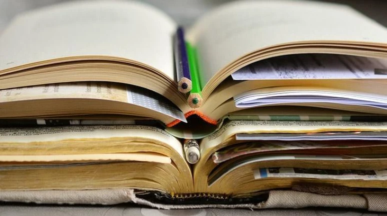 ALES Sonuçları Açıklandı: 2025 ALES/1 için Sonuçlar Yayınlandı!