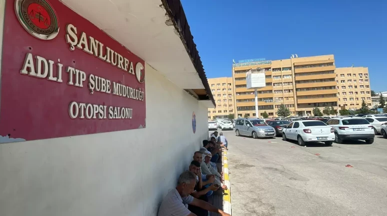 Ceylanpınar'da Çoban Mehmet Aksak Otomobilin Çarpmasıyla Öldü!