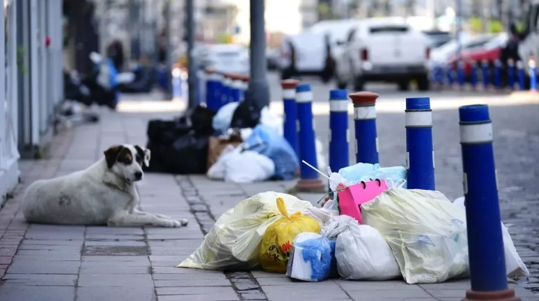 İzmir'de 4 Gündür Süren Grev, Şehri Devasa Bir Çöp Dağına Dönüştürdü!
