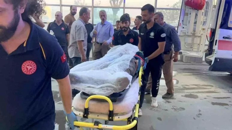 Adıyaman'da kaza: Zeynep Özşahin hayatını kaybetti, 1 kişi yaralandı!