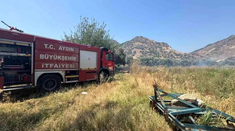 Aydın İncirliova'da Zeytinlik Yangını Panik Yarattı!