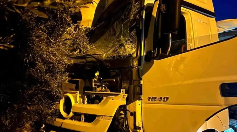 Mersin'de Tır, Kontrolden Çıkarak Yoldan Çıktı ve Trafiği Felç Etti!