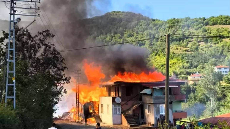 Kastamonu Cide'de Yangın: Eşek Telef Oldu, Ev Küle Döndü!