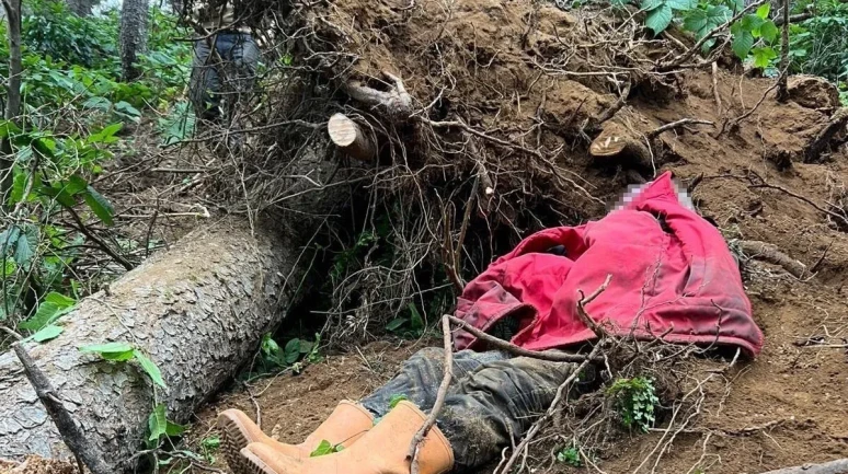 Trabzon'da İş Kazası: Coşkun Bayrak Ağaç Altında Kalarak Öldü