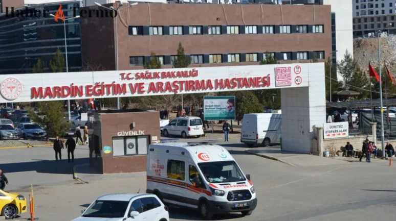 Mardin'de Park Halindeki Araçta 27 Yaşında Mansur Barak Ölü Bulundu.