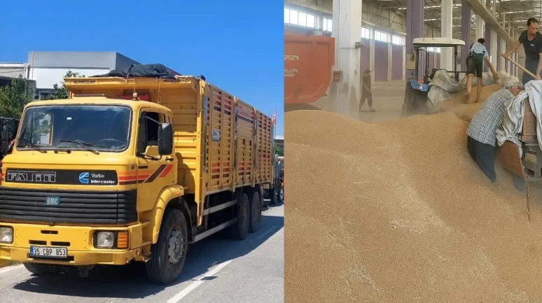 Türkiye'nin önemli bir tarım ürünü olan buğdayın alım sezonu TMO Tire depolarında başladı!