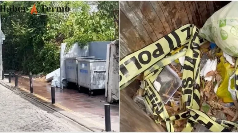 İstanbul Beşiktaş'ta Çöpte Bebek Cesedi Bulundu: Şok Detaylar