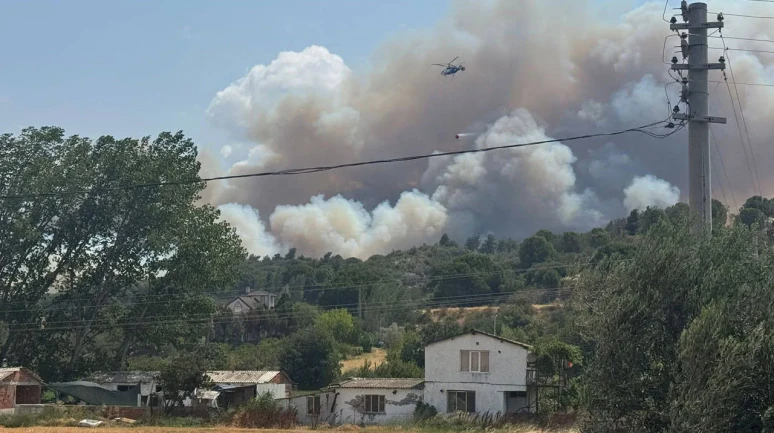 Çanakkale'de Tarım Arazisi Yangını Ormana Sıçradı: Müdahale Ediliyor
