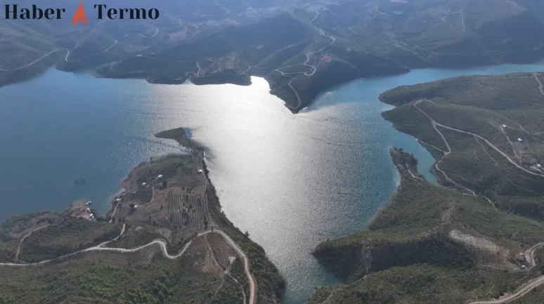 Manavgat’ta yanan ormanlık alanlar yeniden “yeşil örtü” ile kaplanıyor!