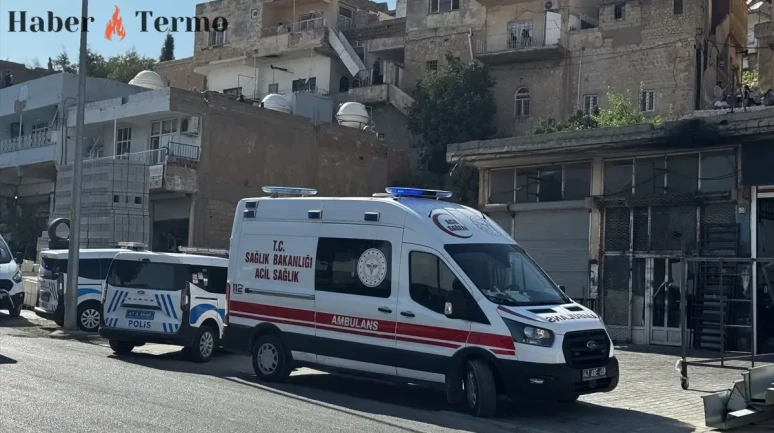 Mardin'de Cemile Arslanhan ve Işıktaş Kardeşler Ölü Bulundu: 3 Vaka