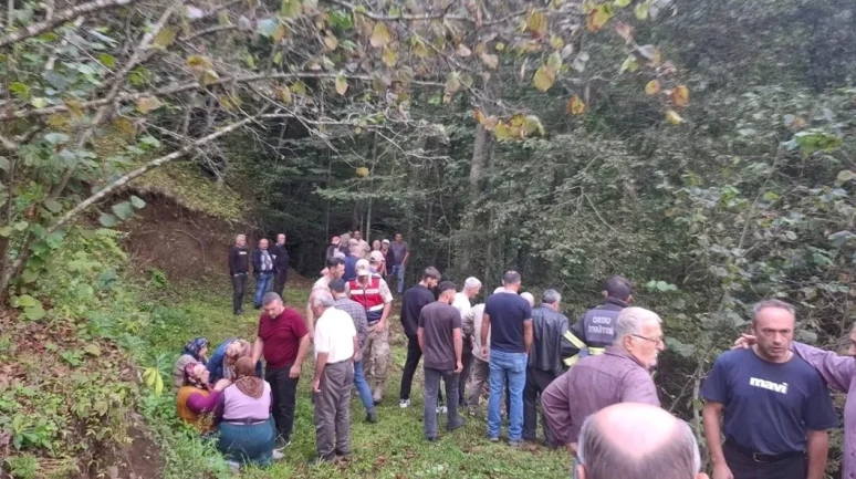 Ordu'da Tarım Aracı Kazası: Adem Çelik Hayatını Kaybetti!