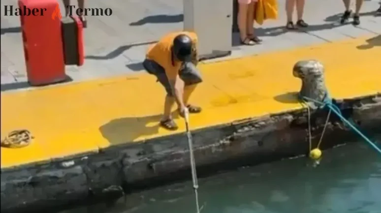Bodrum'da Soyu Tükenmekte Olan Mavi Yelken Balığına Su Altı Tüfeğiyle Saldırı!
